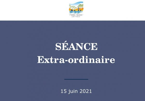 Séance extraordinaire du 15 juin 2021